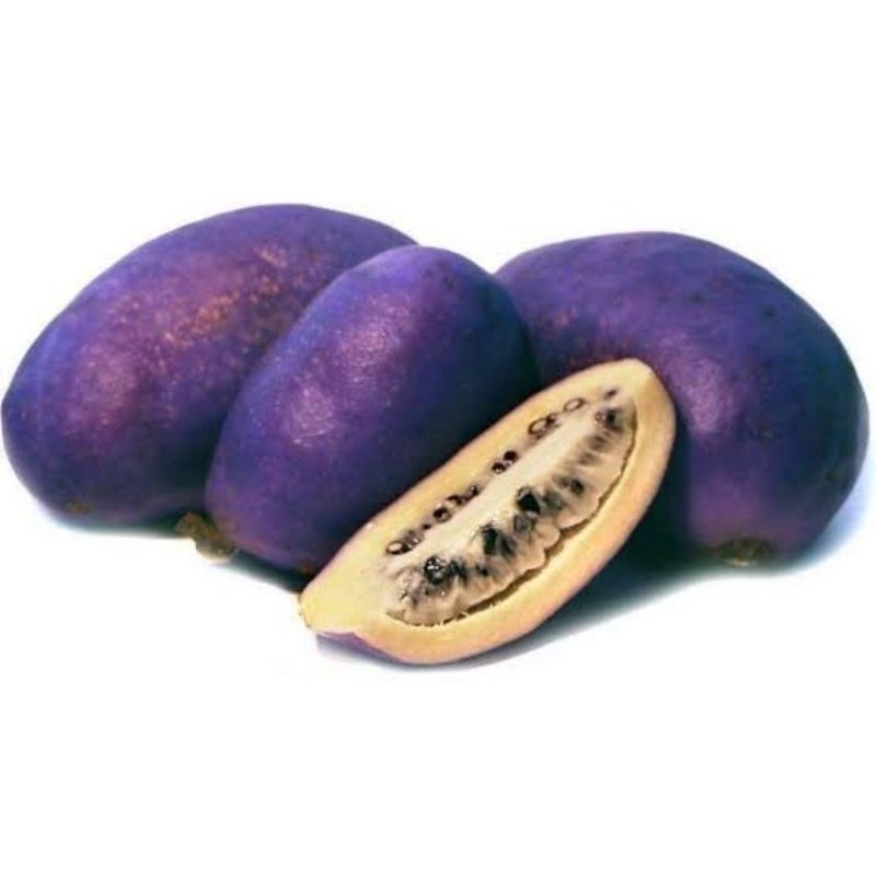 Akebi: Buah Unik dari Jepang yang Kaya akan Kebaikan