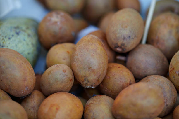 Ciku (Sawo): Buah Tropis Manis yang Penuh Manfaat