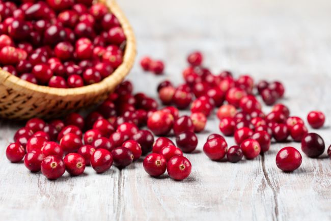Cranberry: Buah Kecil yang Penuh Khasiat Kesehatan