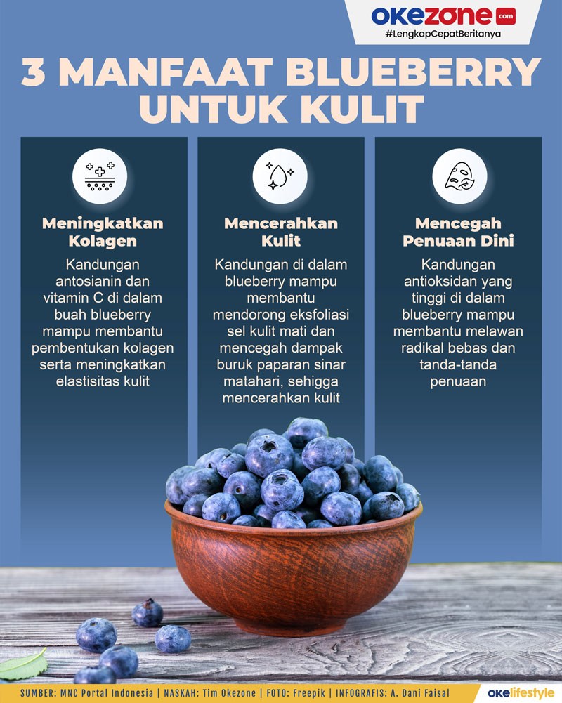 “Keajaiban Buah Huckleberry: Manfaat dan Kegunaannya”