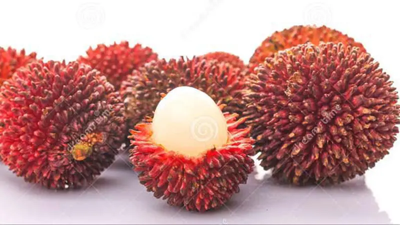 “Keistimewaan Buah Kapulasan: Manfaat dan Kandungan Nutrisinya”