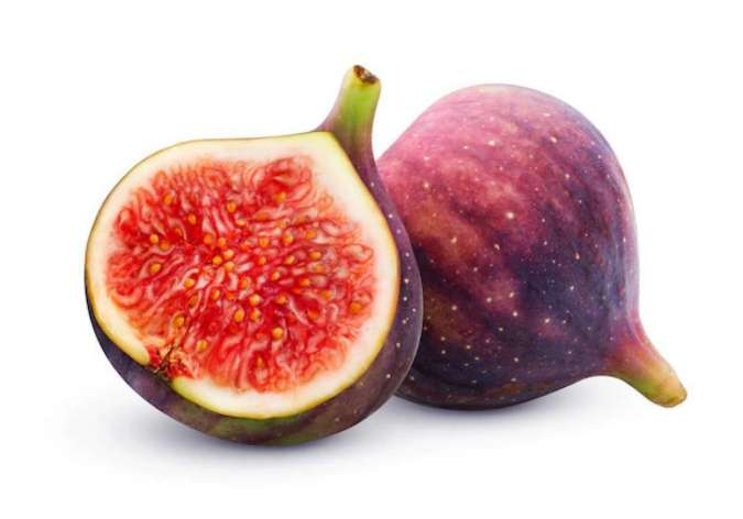 “Manfaat dan Budidaya Buah Ara”