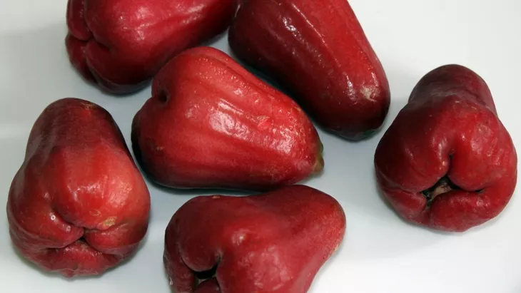 “Manfaat dan Khasiat Buah Jambu Air”