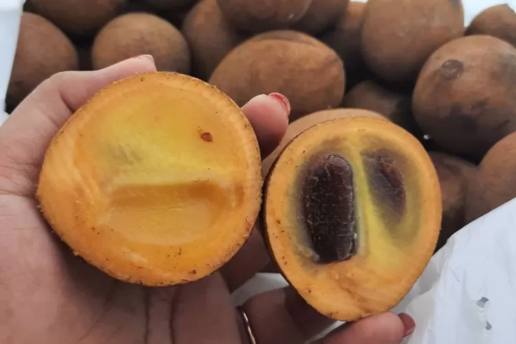 “Manfaat dan Khasiat Buah Kepel yang Menakjubkan”