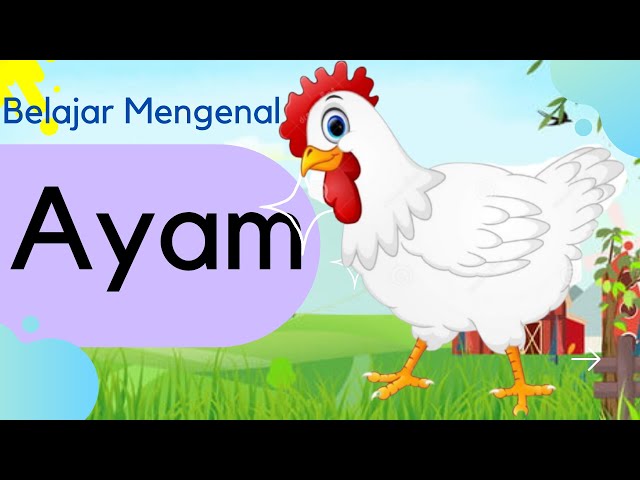 Mengenal Hewan Chick: Karakteristik dan Peran dalam Kehidupan