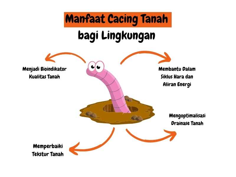 Hewan Cacing: Pengertian, Jenis, dan Peran dalam Ekosistem