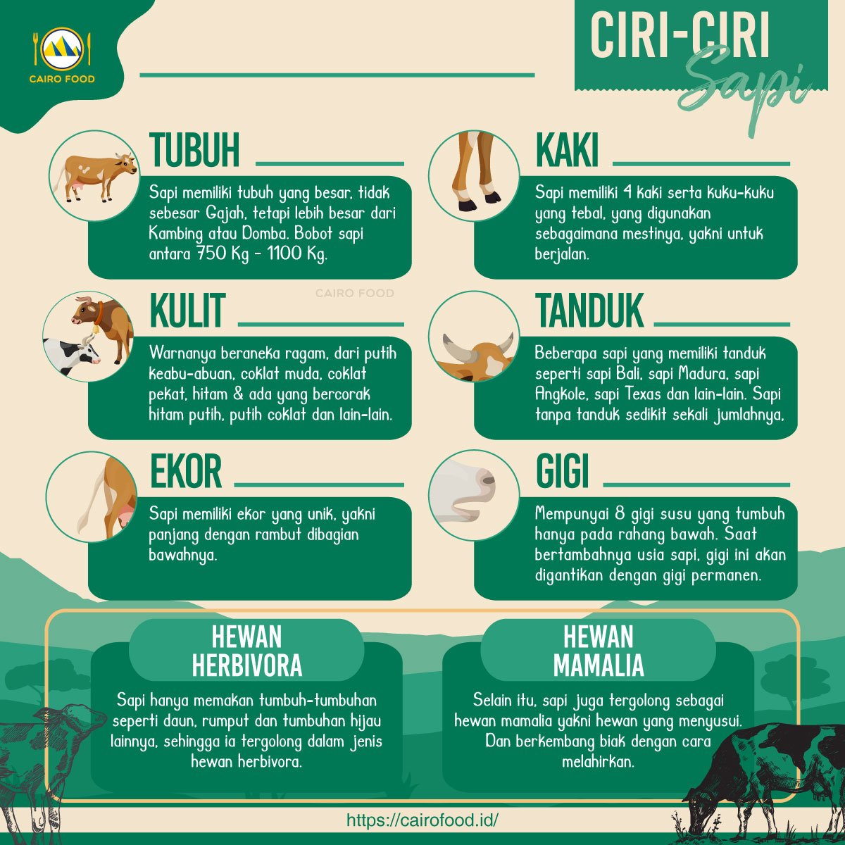 Mengenal Hewan Anak Sapi: Ciri-Ciri dan Perkembangannya